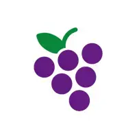 lime.webp